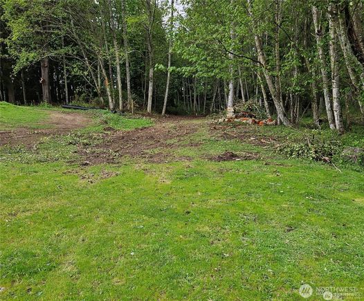 0 267th Avenue Ct E Carbonado, WA Plot of land Sold - Photo 1 of 18. Opens carousel modal