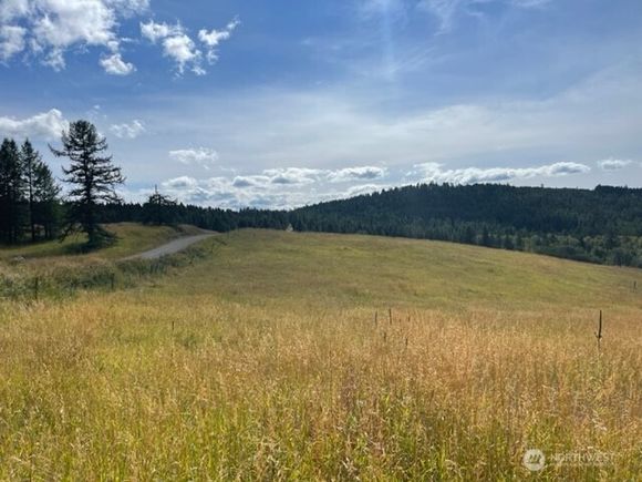 111 Tbd Davies Road Oroville, WA Plot of land Active - Photo 1 of 15. Opens carousel modal
