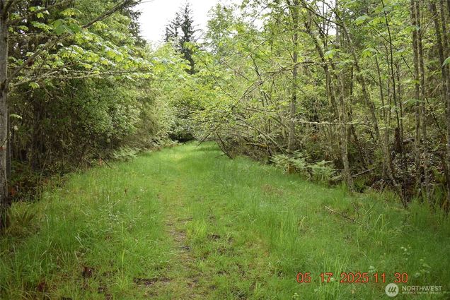 0 Lot 40 Township Line Road Port Angeles, WA Plot of land Active - Photo 1 of 34. Opens carousel modal