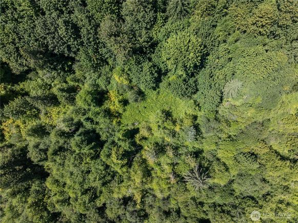 1310 W Little Egypt Road Shelton, WA Plot of land Active - Photo 1 of 17. Opens carousel modal