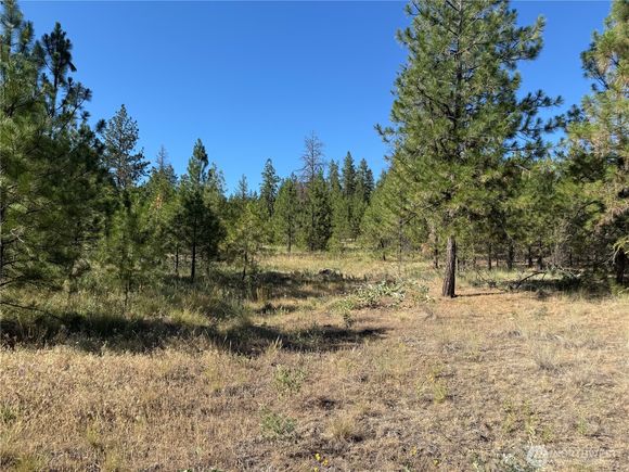 0 Tbd Davenport, WA Land Active - Photo 1 of 9. Opens carousel modal