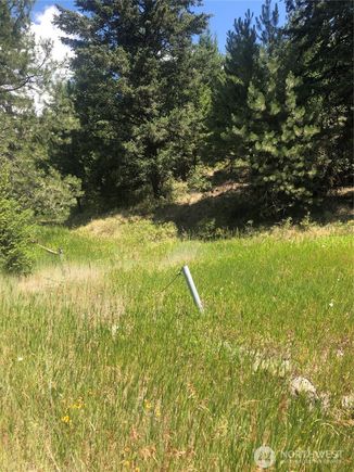22 Pine Chee Road Oroville, WA Plot of land Active - Photo 1 of 4. Opens carousel modal