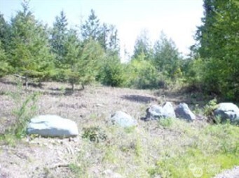 1111 Xxxx Whiteman Road Gig Harbor, WA Plot of land Active - Photo 1 of 1. Opens carousel modal