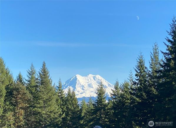 0 Xxx Roedomsky Road E Eatonville, WA Plot of land Sold - Photo 1 of 1. Opens carousel modal