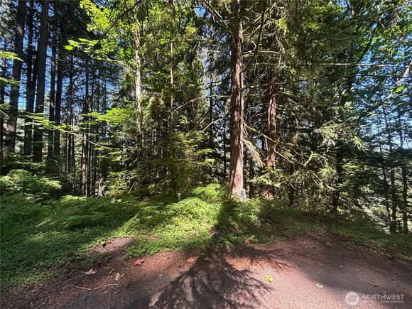 21 Clematis Lane Bellingham, WA Plot of land Active - Photo 1 of 4. Opens carousel modal