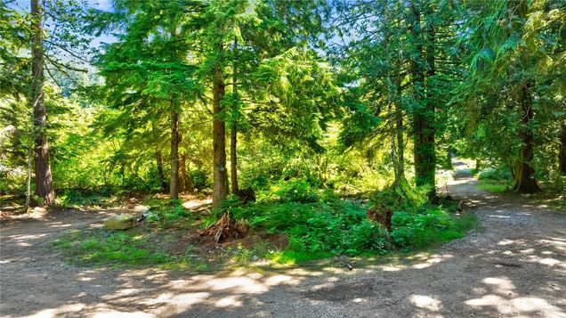 15528 May Creek Road Gold Bar, WA Plot of land Active - Photo 1 of 11. Opens carousel modal