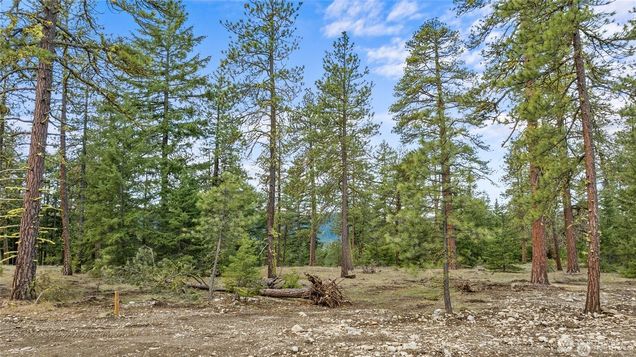 29 Wanawish Loop Cle Elum, WA Plot of land Active - Photo 1 of 3. Opens carousel modal