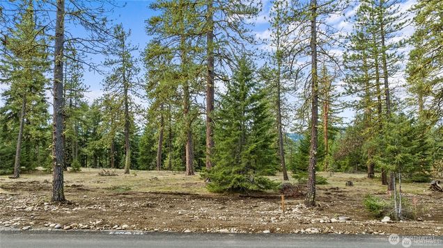 88 Wanawish Loop Cle Elum, WA Plot of land Active - Photo 1 of 5. Opens carousel modal