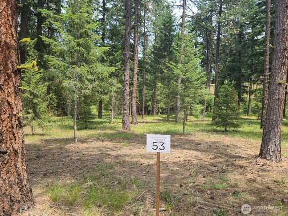 53 Wanawish Loop Cle Elum, WA Plot of land Active - Photo 1 of 5. Opens carousel modal