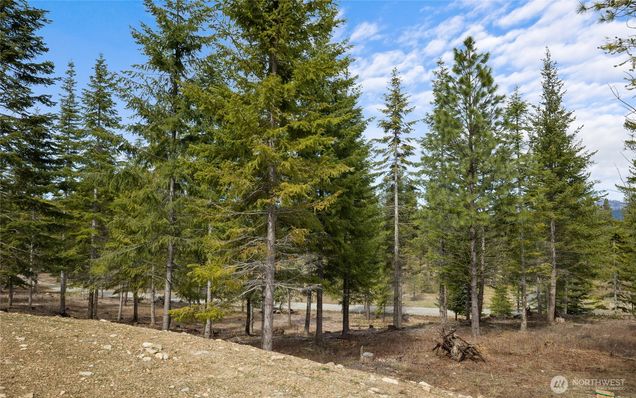 73 Liberty Bell Lane Cle Elum, WA Plot of land Active - Photo 1 of 10. Opens carousel modal