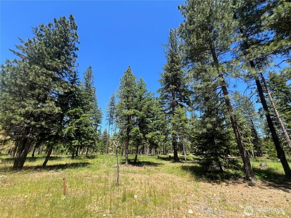 33 Domerie Park Loop Cle Elum, WA Plot of land Active - Photo 1 of 9. Opens carousel modal