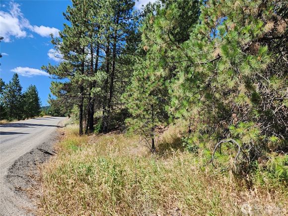 0 Lot 1 Klondike Road Republic, WA Plot of land Active - Photo 1 of 8. Opens carousel modal