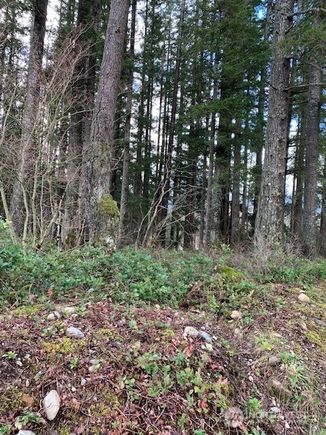 450 Xx SE North Bend Way North Bend, WA Plot of land Active - Photo 1 of 7. Opens carousel modal