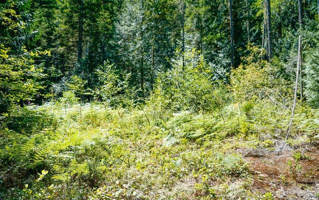 0 N Robinson Road Hoodsport, WA Plot of land Active - Photo 1 of 15. Opens carousel modal