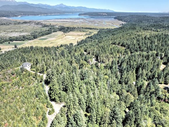 12 Acres Webb Hill Road Union, WA Plot of land Active - Photo 1 of 12. Opens carousel modal