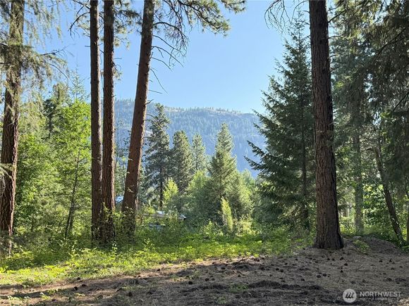 41 Tbd Davelaar Drive Mazama, WA Plot of land Active - Photo 1 of 28. Opens carousel modal