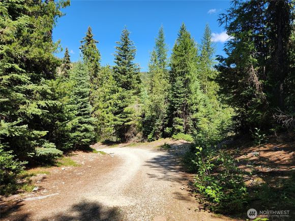 0 Xx East Fork Cougar Creek Road Wauconda, WA Plot of land Active - Photo 1 of 23. Opens carousel modal