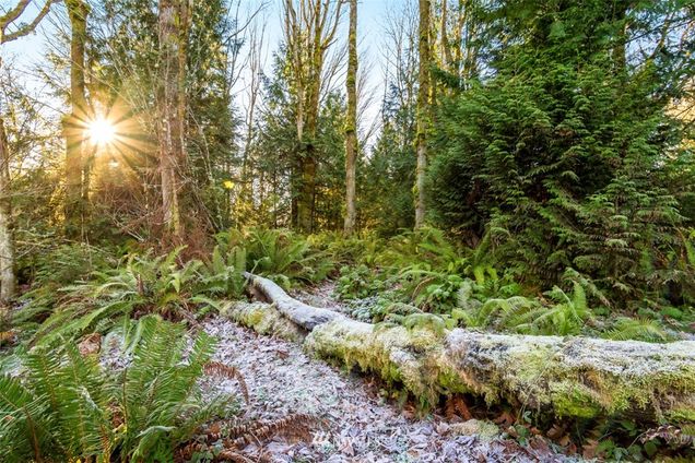 3017 Yankee Girl Circle NE Bainbridge Island, WA Plot of land Sold - Photo 1 of 5. Opens carousel modal