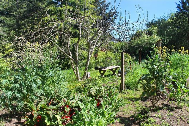 16001 91st Avenue SW Vashon, WA House Sold - Photo 16 of 17. Opens carousel modal