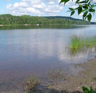 5651 Birchbark Landing