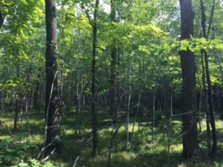 0000 Trout Acres Lake Rd
