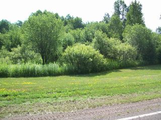 Xxx Co Rd 103