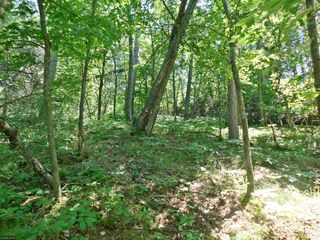 Tbd Elm Trail
