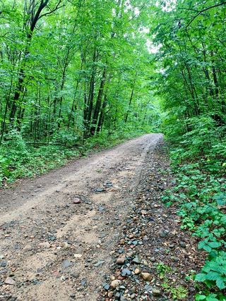 Tbd Flintstone Road