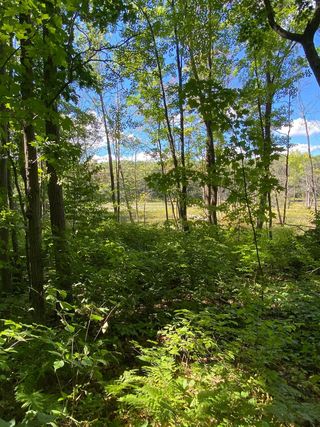 Tbd Woodchuck Trail