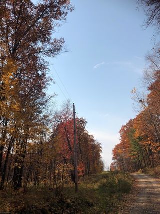 Tbd Overlook Drive