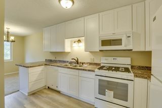 623 Portland Mews