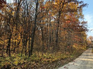 Tbd Woodchuck Trail