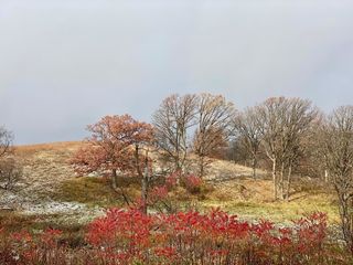 66 Ac +/ Cty Rd O