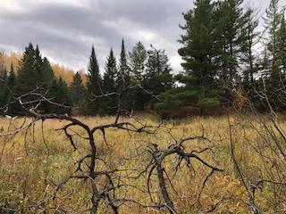 00 County Road 13