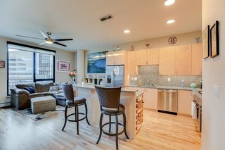 1240 S 2nd Street Unit 313