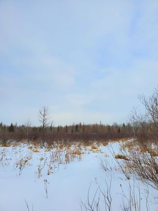 27026 County Road 32