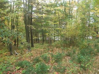 Lot 267th Avenue