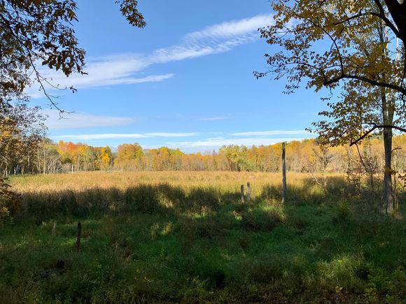 227xx Balsa Avenue Cedar Lake Twp, MN Plot of land Sold - Photo 1 of 1. Opens carousel modal