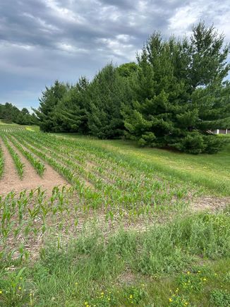 2186 132nd Street Star Prairie, WI Plot of land Active - Photo 1 of 3. Opens carousel modal