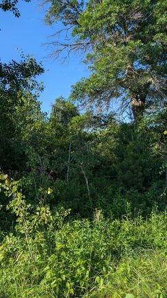 Tbd 60th Street SW Maple Twp, MN Plot of land Active - Photo 1 of 4. Opens carousel modal