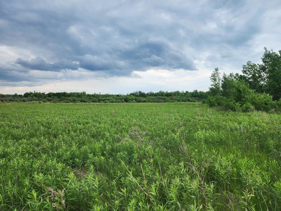Tbd Rice Road Mission Creek Twp, MN Plot of land Active - Photo 1 of 3. Opens carousel modal
