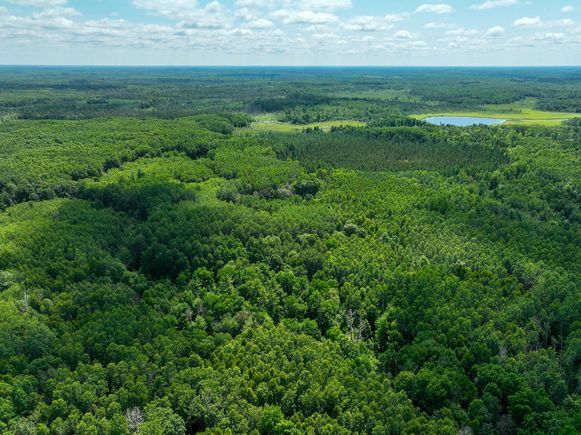 Tbd Sago 5 Sago Twp, MN Plot of land Active - Photo 1 of 21. Opens carousel modal