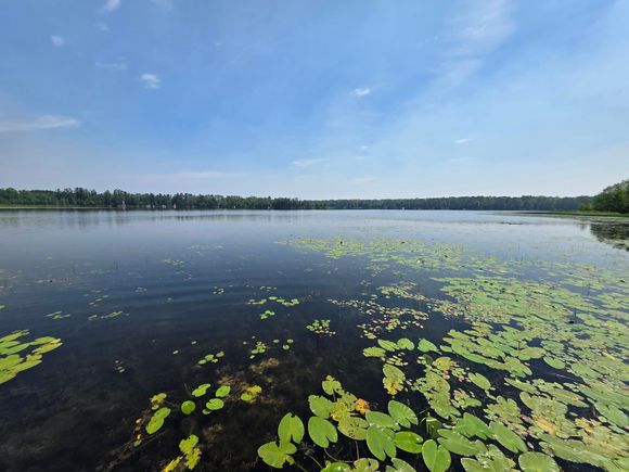 42870 328th Place Fleming Twp, MN Plot of land Active - Photo 1 of 10. Opens carousel modal