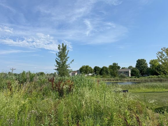 1601 11th Street NE Buffalo, MN Plot of land Active - Photo 1 of 5. Opens carousel modal