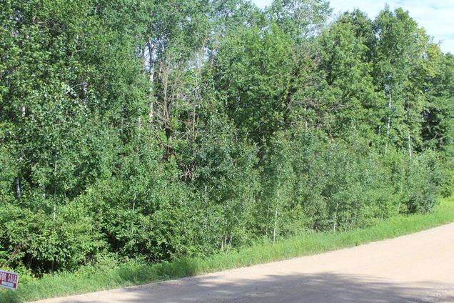 Tbd Wilderness Bay Road Savannah Twp, MN Plot of land Active - Photo 1 of 16. Opens carousel modal