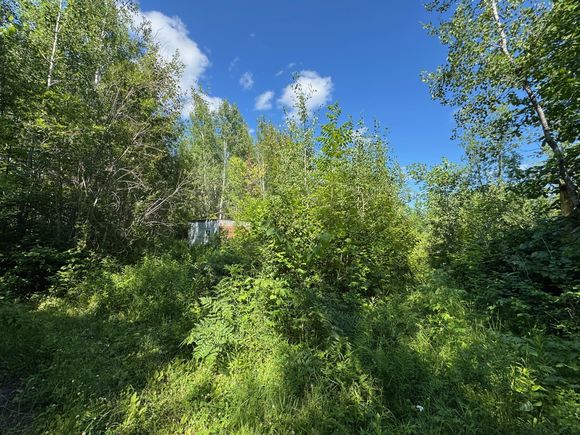 40a Bridgie Road Northome, MN Plot of land Active - Photo 1 of 10. Opens carousel modal