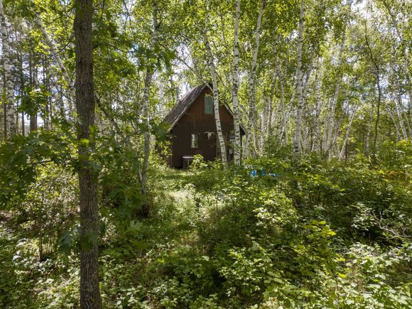 22510 Spider Island Nevis, MN House Active - Photo 1 of 13. Opens carousel modal