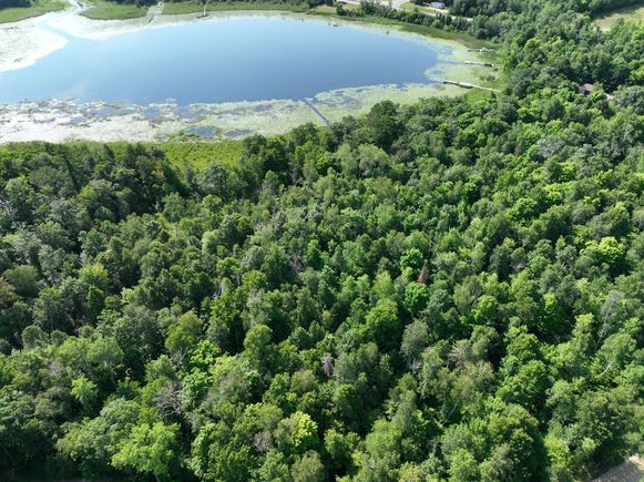 Tbd Hillerman Road NW Hackensack, MN Plot of land Active - Photo 1 of 11. Opens carousel modal