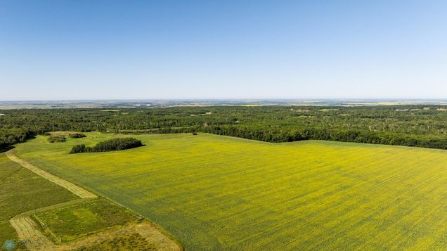 Tbd Lake Road Bottineau, ND Plot of land Active - Photo 1 of 74. Opens carousel modal
