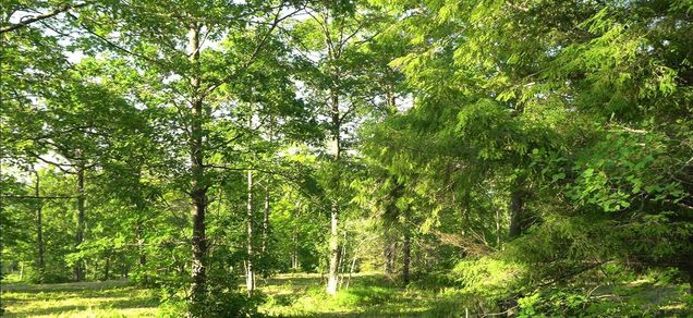 83xxx Lot 6 Ashwabay Heights Road Bayfield, WI Plot of land Active - Photo 1 of 5. Opens carousel modal